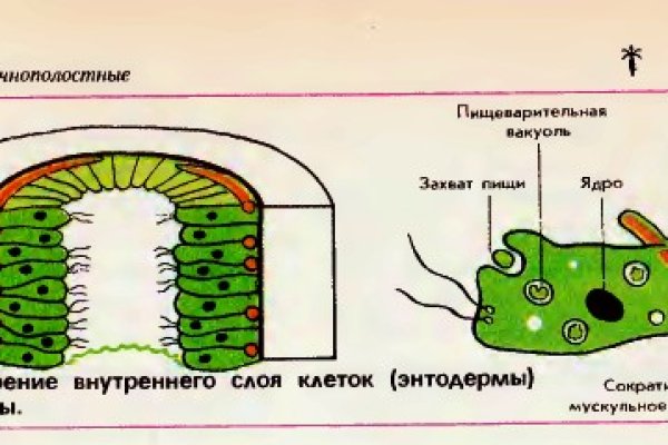 Кракен сайт kr2web in зарегистрироваться