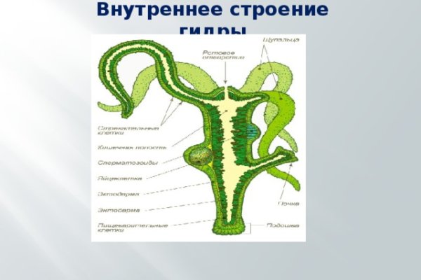 Как сделать заказ на кракен