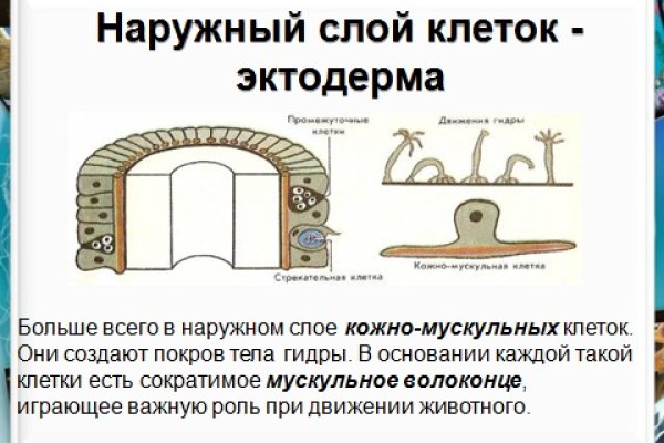 Как регистрироваться и заходить на кракен даркнет